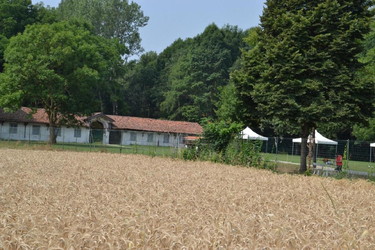La Dimora Di Artemide Bed & Breakfast Nichelino Luaran gambar